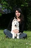 ENFANT ET CHIEN 463